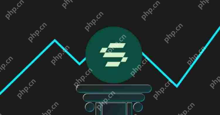 Solayer(LAYER)是什么?Solayer代币经济学和价格预测